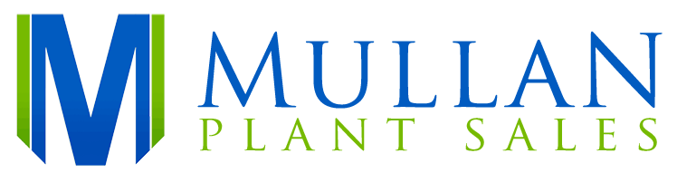 Mullan Plant Sales